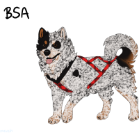 Thumbnail for ADOPT-BH-074