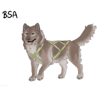 Thumbnail for ADOPT-BH-409: Wolf