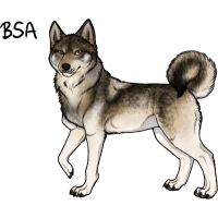 Thumbnail for ADOPT-BH-083