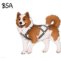 Thumbnail for ADOPT-BH-296